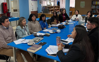 Desarrollo profesional docente